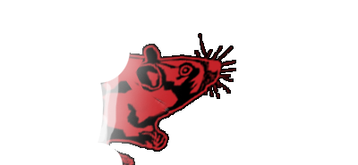 Rat